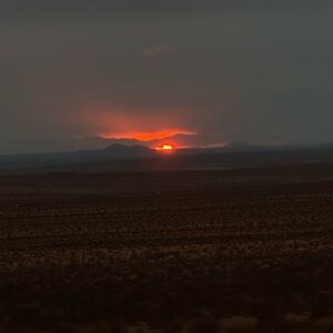 Meet your Posher, Daisy